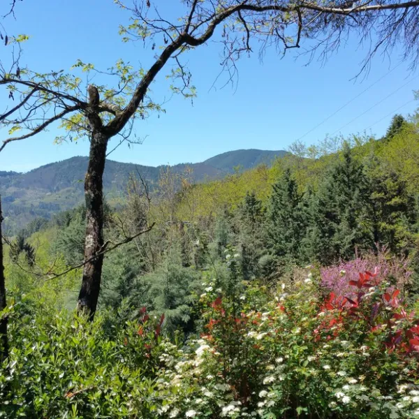 camping-les-sources-st-jean-du-gard-ytl9p