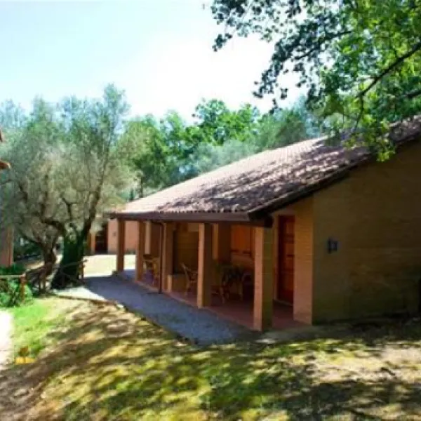 campeggio-cerquestra-magione-xzc8b