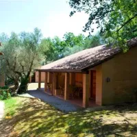 campeggio-cerquestra-magione-xzc8b
