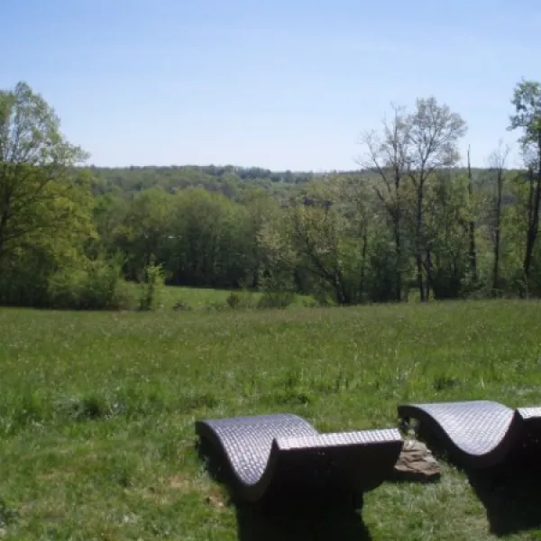 le-domaine-vert-troche-dzbis