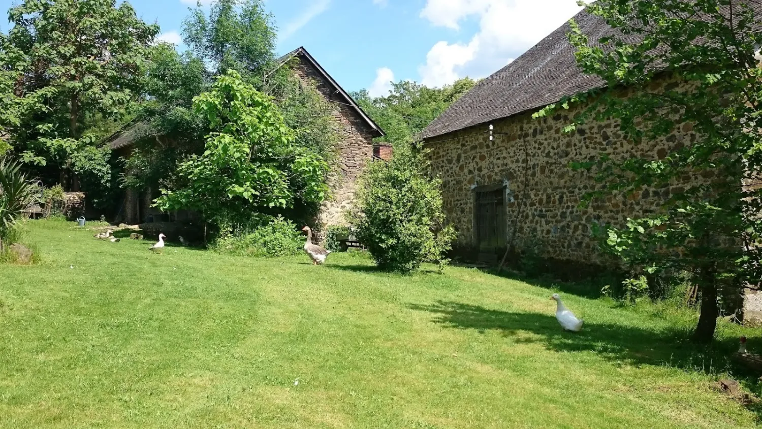 le-domaine-vert-troche-sjb4z