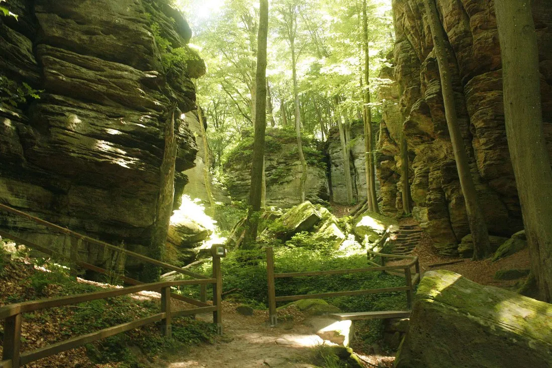 camping-martbusch-berdorf-psisv