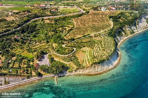 camping-belvedere-izola-bqlim