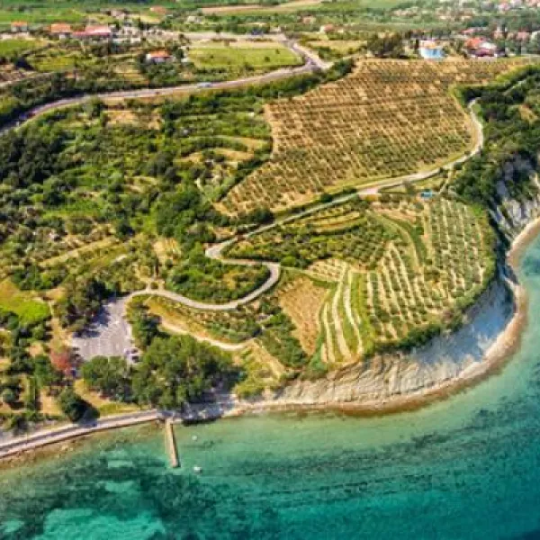 camping-belvedere-izola-bqlim