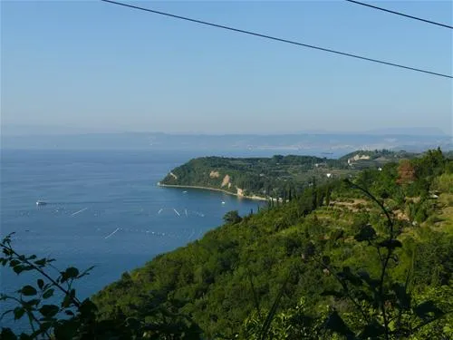 camping-belvedere-izola-twk4d