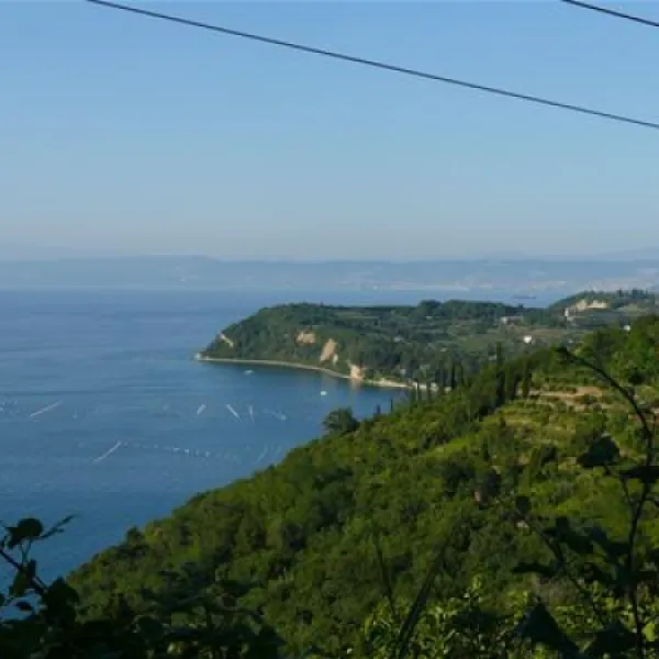 camping-belvedere-izola-twk4d