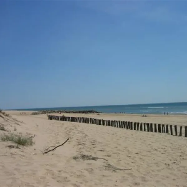 flower-camping-la-cailletiere-dolus-d-oleron-drb3a