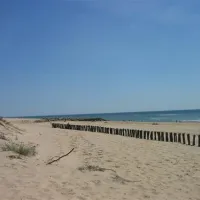 flower-camping-la-cailletiere-dolus-d-oleron-drb3a
