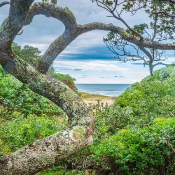 milkwood-bend-farm-resort-lusizini-bvocz