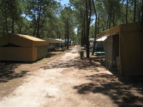 parque-de-campismo-do-sitava-vila-nova-de-milfontes-fg1up