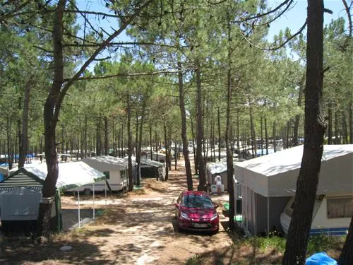 parque-de-campismo-do-sitava-vila-nova-de-milfontes-phkcz
