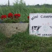 Mini Camping De Geranium