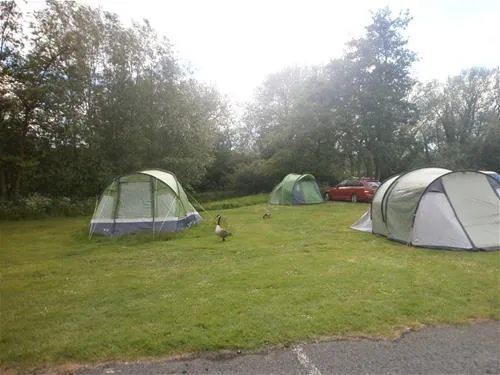 the-camping-caravanning-club-site-oxford-oxford-z7zlc