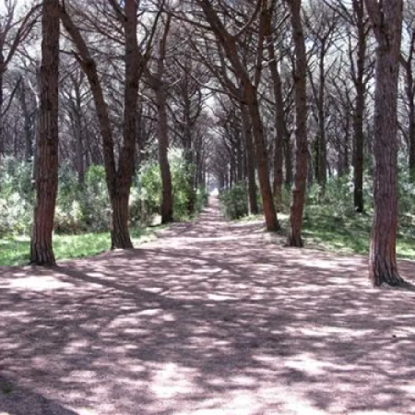 new-camping-village-le-tamerici-cecina-mare-3wta9