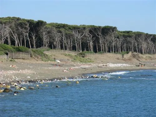 new-camping-village-le-tamerici-cecina-mare-enkvb