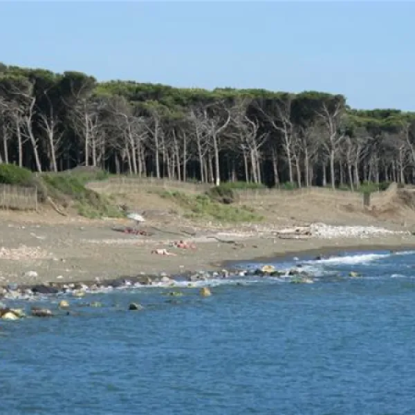 new-camping-village-le-tamerici-cecina-mare-enkvb