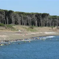 new-camping-village-le-tamerici-cecina-mare-enkvb