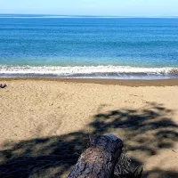 new-camping-village-le-tamerici-cecina-mare-ua96n