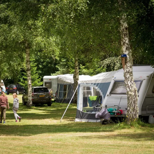 camping-lall-corrze-dav0a