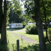 camp-alferweiher-echternach-zoicu