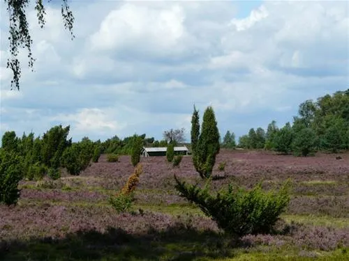 campingplatz-auf-dem-simpel-soltauwolterdingen-dplvn