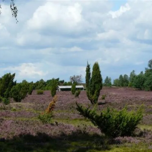 campingplatz-auf-dem-simpel-soltauwolterdingen-dplvn