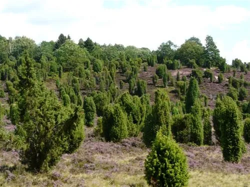 campingplatz-auf-dem-simpel-soltauwolterdingen-fayyj
