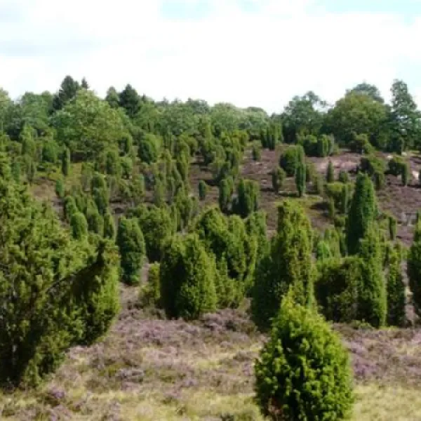 campingplatz-auf-dem-simpel-soltauwolterdingen-fayyj