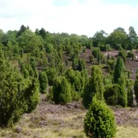 campingplatz-auf-dem-simpel-soltauwolterdingen-fayyj