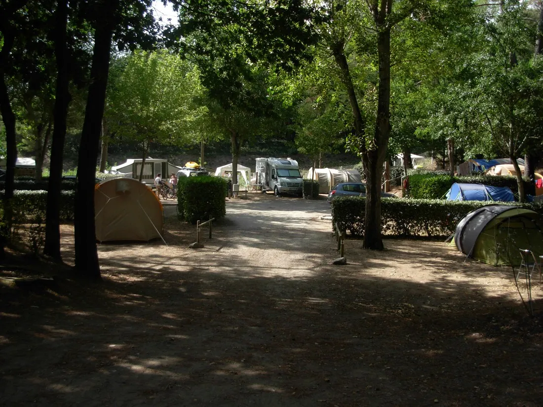 camping-les-ramiers-longeville-sur-mer-8kixz