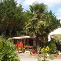 camping-les-ramiers-longeville-sur-mer-cehmm