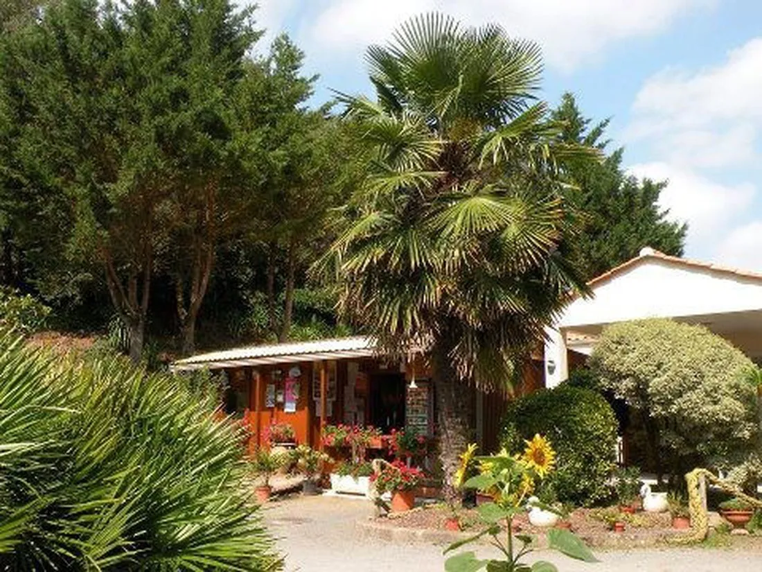 camping-les-ramiers-longeville-sur-mer-o57o0