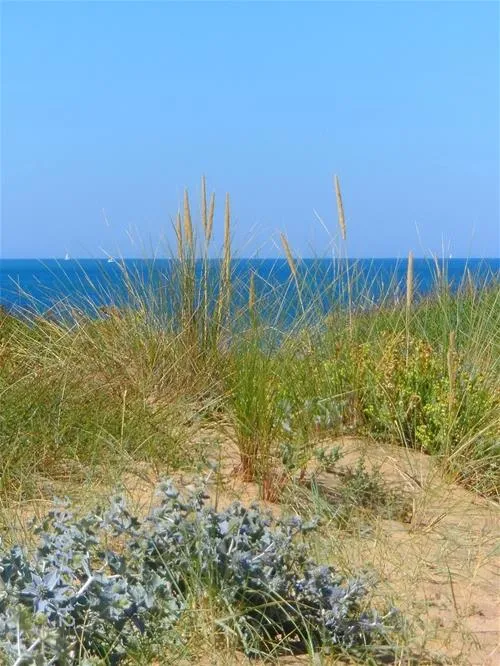 camping-les-ramiers-longeville-sur-mer-r9xg3