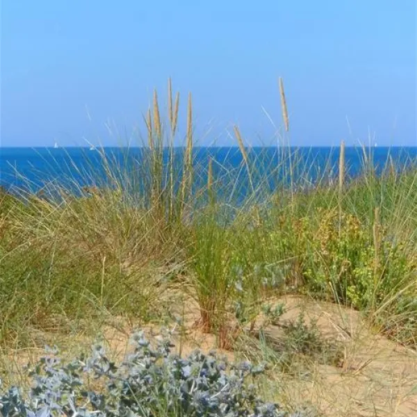 camping-les-ramiers-longeville-sur-mer-r9xg3