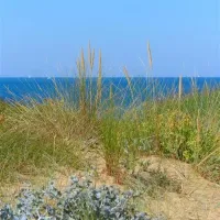 camping-les-ramiers-longeville-sur-mer-r9xg3