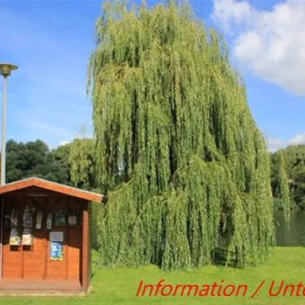 terrain-de-camping-municipal-de-metzplage-metz-stacd