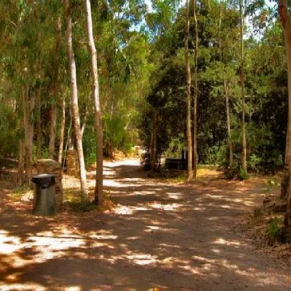 camping-sciopadroxiu-marina-di-arbus-afw4y