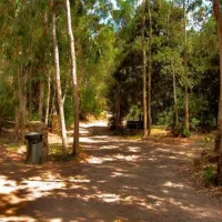 camping-sciopadroxiu-marina-di-arbus-afw4y