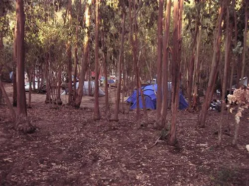 camping-sciopadroxiu-marina-di-arbus-wiadb