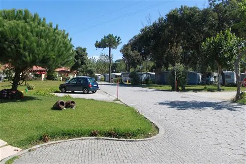 parque-de-campismo-sol-de-vila-cha-vila-ch-vcd-5oqj7