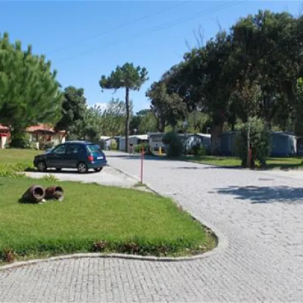 parque-de-campismo-sol-de-vila-cha-vila-ch-vcd-5oqj7