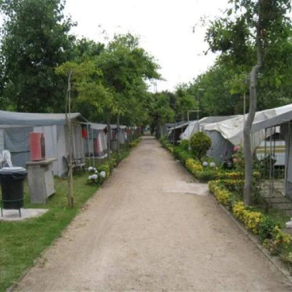 parque-de-campismo-sol-de-vila-cha-vila-ch-vcd-c27oc
