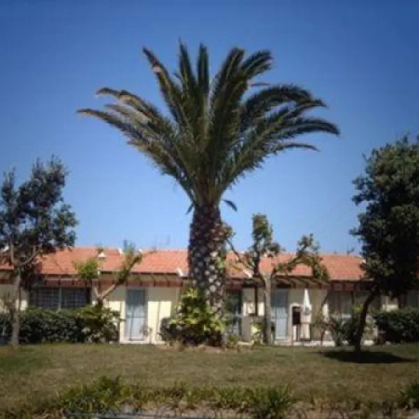 parque-de-campismo-sol-de-vila-cha-vila-ch-vcd-kokmu