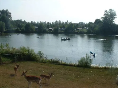 camping-de-stuurmanskolk-welsum-vdi4x