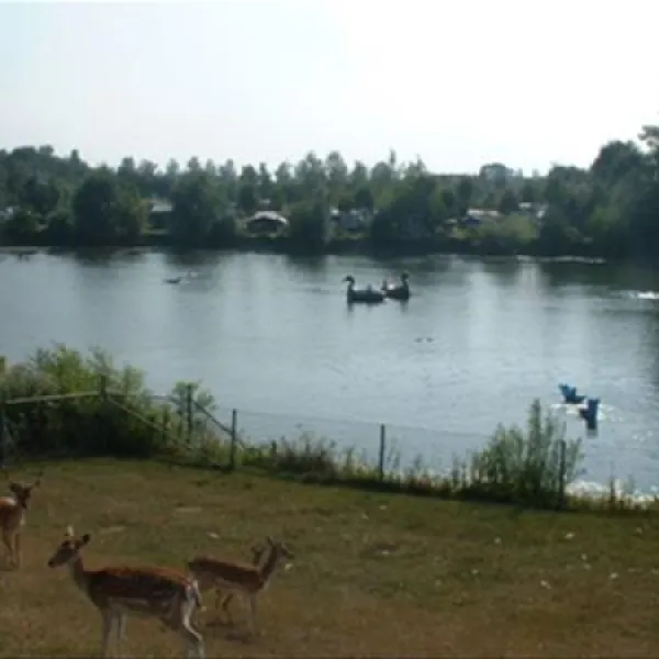 camping-de-stuurmanskolk-welsum-vdi4x
