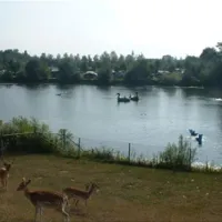 camping-de-stuurmanskolk-welsum-vdi4x