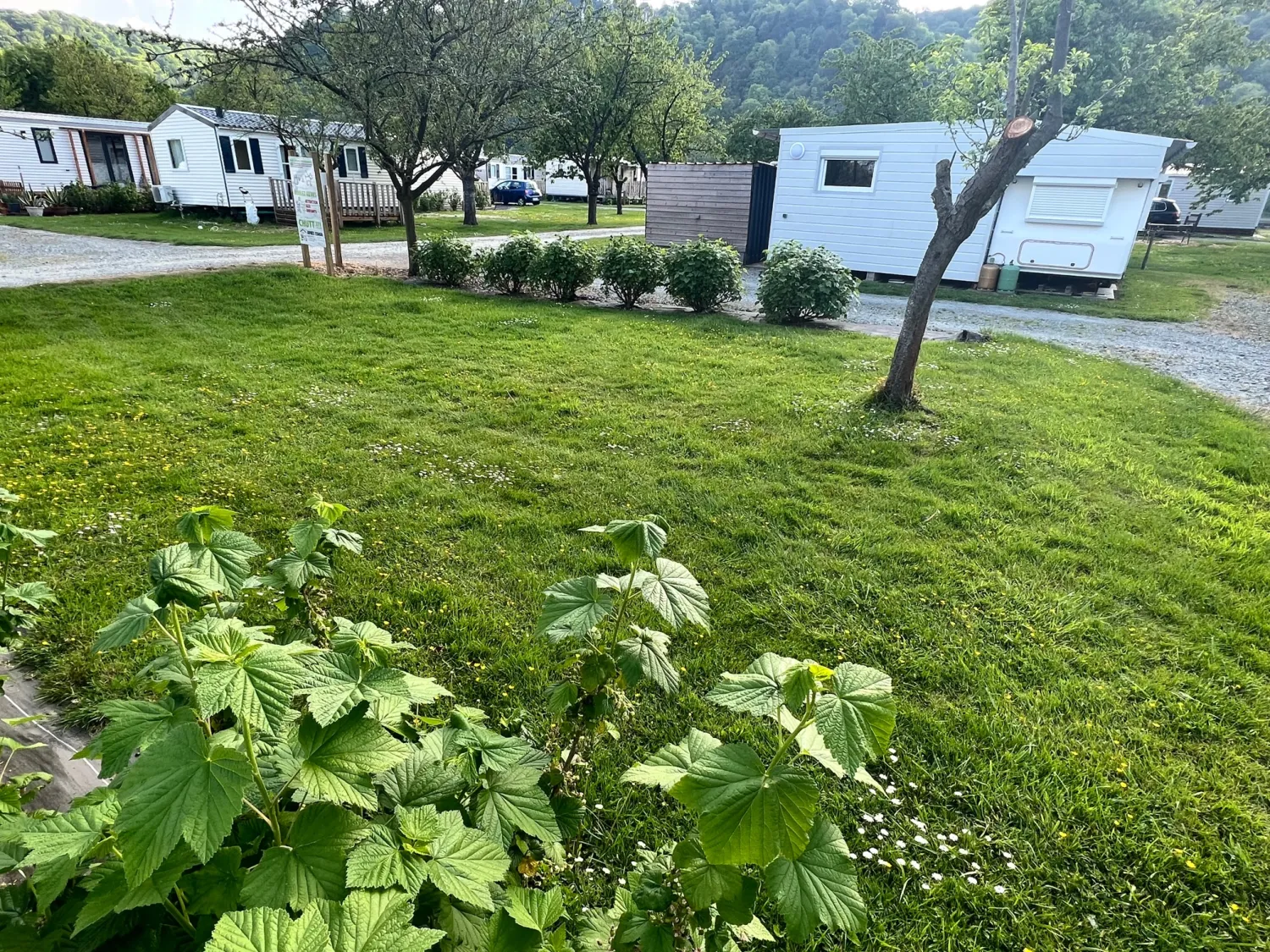 camping-le-conihout-jumieges-7oufn