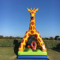 international-camping-belle-etoile-gouville-sur-mer-g2hd1