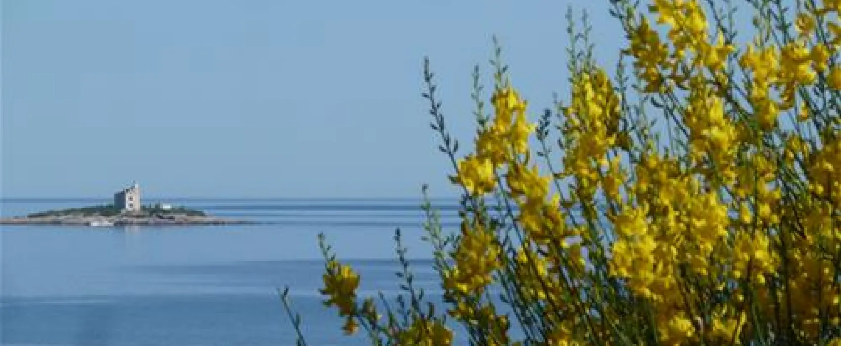 Nevio Camping