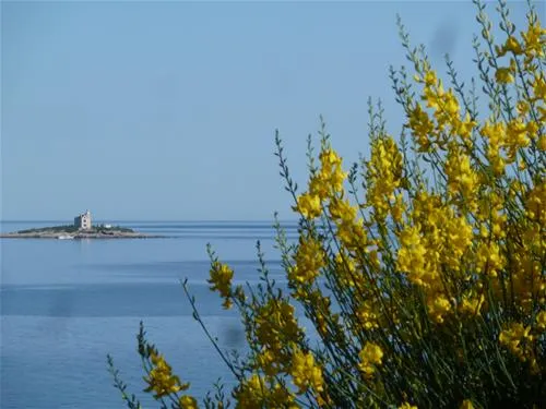 nevio-camping-orebi-prjqv